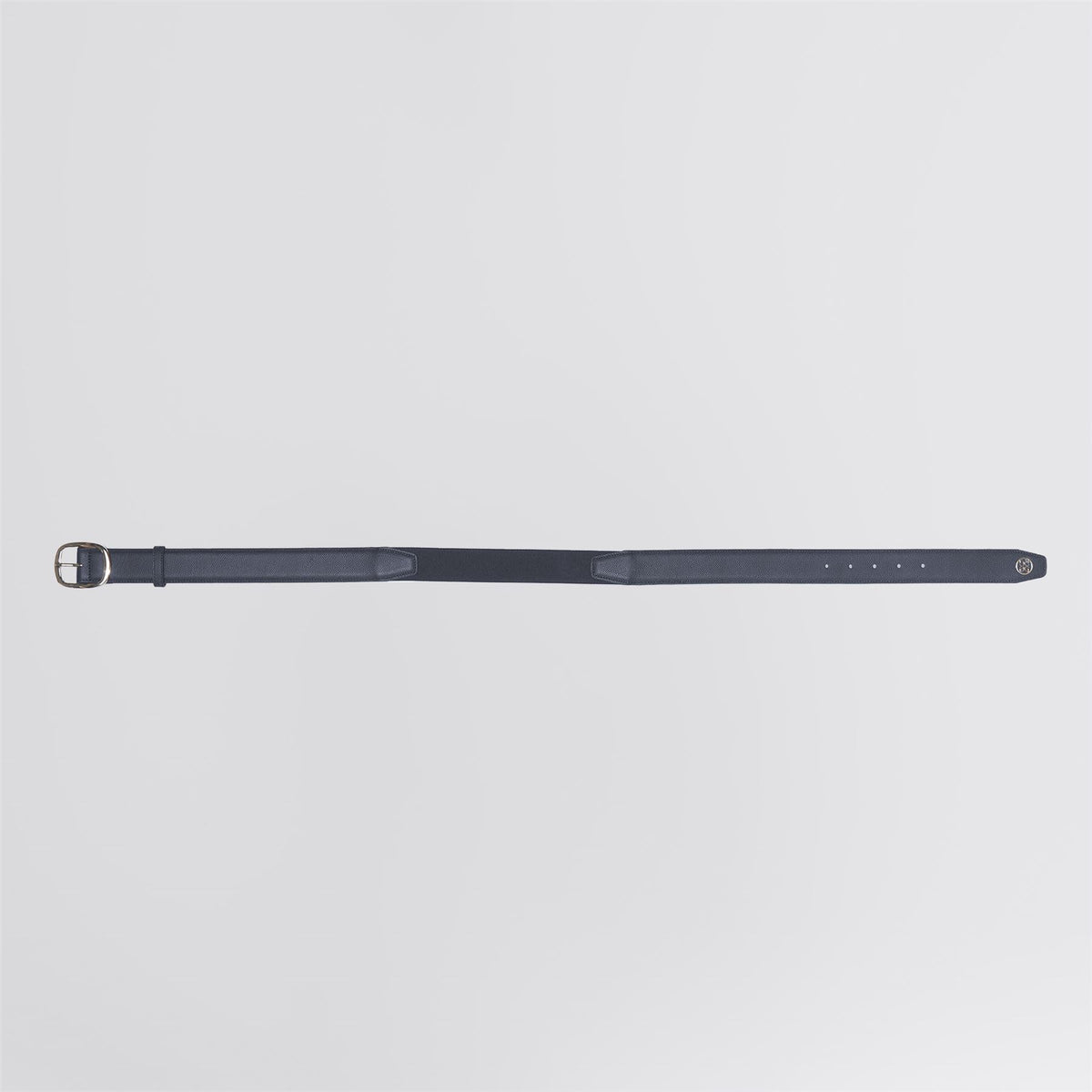 Circle G's Webbed Belt Twilight