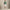 RLX Tailored Fit Golf Club Bags Polo Kelly Green