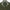 Riva Nylon Jacket Cypress Green