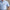 Polo Golf Tailored Fit Stretch Pique Polo Office Blue