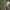 RLX Hooded Windbreaker Training Jacket Fossil Green