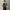 RLX Tailored Fit Polo Kelly Green RLX Action Graphic