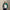 RLX Full Zip Colourblock Windbreaker Jacket Kelly Green Multi