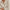 Hawley Half Zip Sweat Ivory Marl