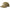 Script Nylon Rope Hat Olive