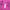 Jacquard Polo Lucid Fuchsia