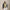 RLX Performance Wool Hooded Hybrid Jacket Refined Navy/Classic Khaki