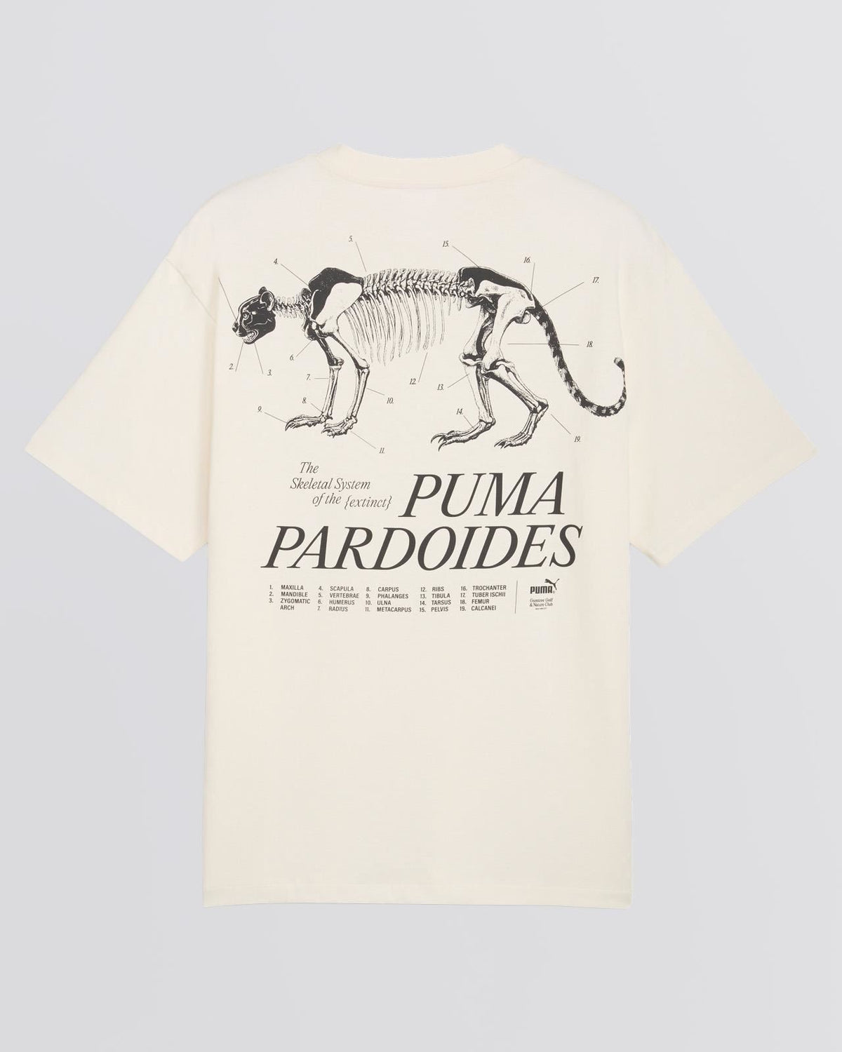 x GGNC Pardoides T-Shirt Warm White