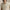 RLX Tailored Fit Stretch Cotton Polo Basic Sand/Refined Navy