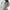Air Zoom Infinity Tour NEXT% 2 Golf Shoes White/Topaz Gold/Pure Platinum/Black