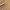 Skaz The Open Lightweight Jacket Medium Beige