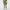 Cuff Double Weave Joggers Trousers Oil Green