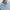 Betsy Sweat Cashmere Blue