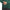 Ultimate365 Tour Sweatshirt Green