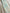 Necktie Blue Botanical