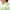 Klas Regular Fit TX Jersey Polo Paradise Green
