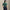 RLX Tailored Fit Polo Kelly Green RLX Action Graphic