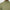 Heath Shell Wind Jacket Oil Green