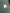 AllTheFeels Straight Leg Trouser Agate Green