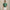 RLX Tailored Fit Golf Club Bags Polo Kelly Green