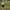 Members 20-inch Shorts Navy