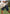 Members 20-inch Shorts Navy