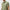 Tour Tech Slim Fit TX Jersey Polo Oil Green Melange