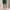 RLX On Course Woven Straight Shorts Kelly Green