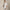 RLX Cotton Knit Sweater Polo White Splash