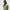 Lucas Merino Tech Wool Knitted Cardigan Oil Green
