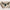 Paddy 5 Cotton Polo Light Beige