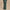 The Extra Wide Leg 29.5 Inch Trousers Dark Forest