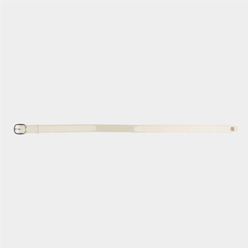 Circle G's Webbed Belt Stone