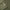 Evergreen Performance Quarter Zip Sage