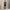 RLX Tailored Fit Polo Kelly Green RLX Action Graphic