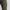 Drive Cargo Pants Marine OD Green/Halo Grey