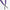Transporter Tour Carry Golf Bag Midsummer Purple