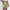 Ultimate365 8.5 Inch Golf Shorts Hemp