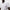 Troy Slim Fit Pique Polo White