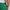 Dealer Shorts 8 Inch Vine Green