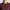 Tonal Eagle Cotton Crew Neck Jumper Burgundy