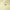 Raphaela Soft Sculpt Jersey Mid Skirt Wax Yellow