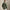 RLX Hooded Windbreaker Training Jacket Fossil Green