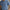 RLX Tailored Fit Savanna Floral Polo Refined Navy Multi