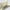 Air Max '90 U26 Spikeless Golf Shoes Sea Grass/Fir/Spruce Fog/Olive Aura