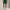 RLX On Course Woven Straight Shorts Kelly Green