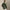 RLX Hooded Windbreaker Training Jacket Fossil Green