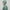 Luke CONCEPT Hooded Windproof Jacket Duck Green