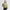 Airlite Golf Padded Jacket Sage Green