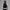 Jordan Sport Regular Fit Statement Gilet Black